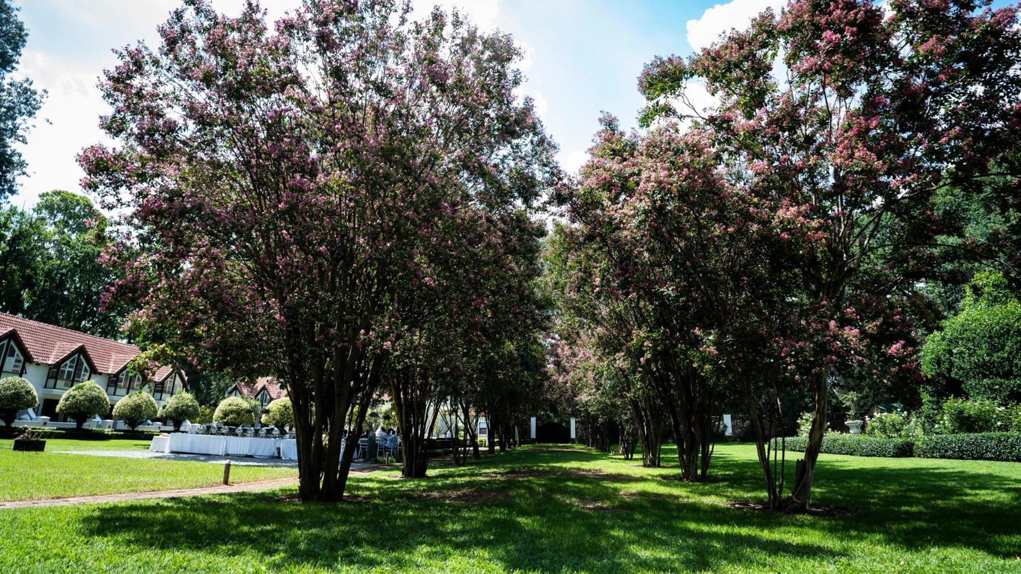 River Meadow Manor سنتوريون المظهر الخارجي الصورة